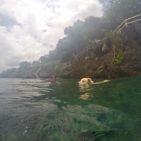 Alexis Cliff Dive Resort Panglao Zewnętrze zdjęcie