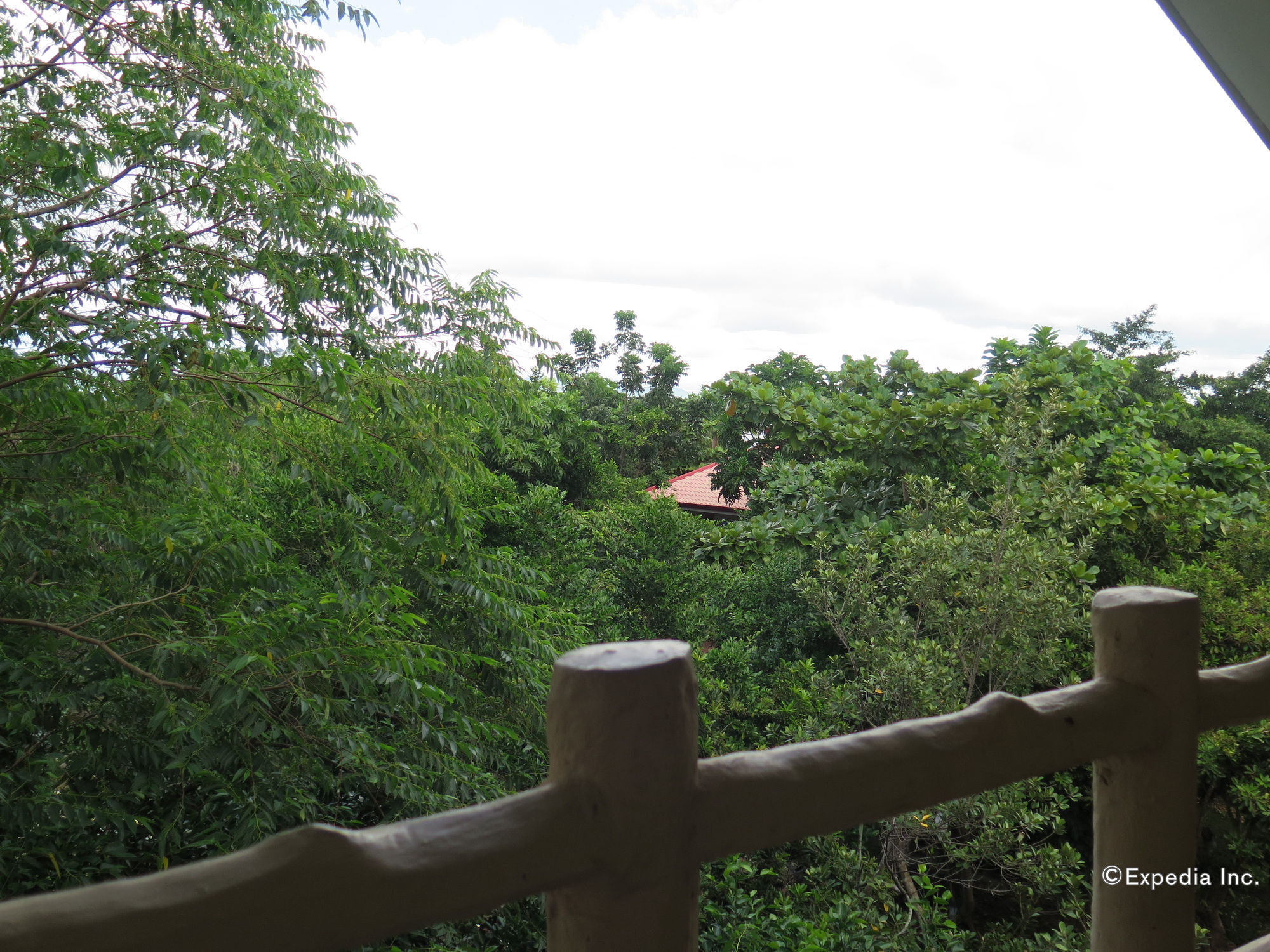 Alexis Cliff Dive Resort Panglao Zewnętrze zdjęcie