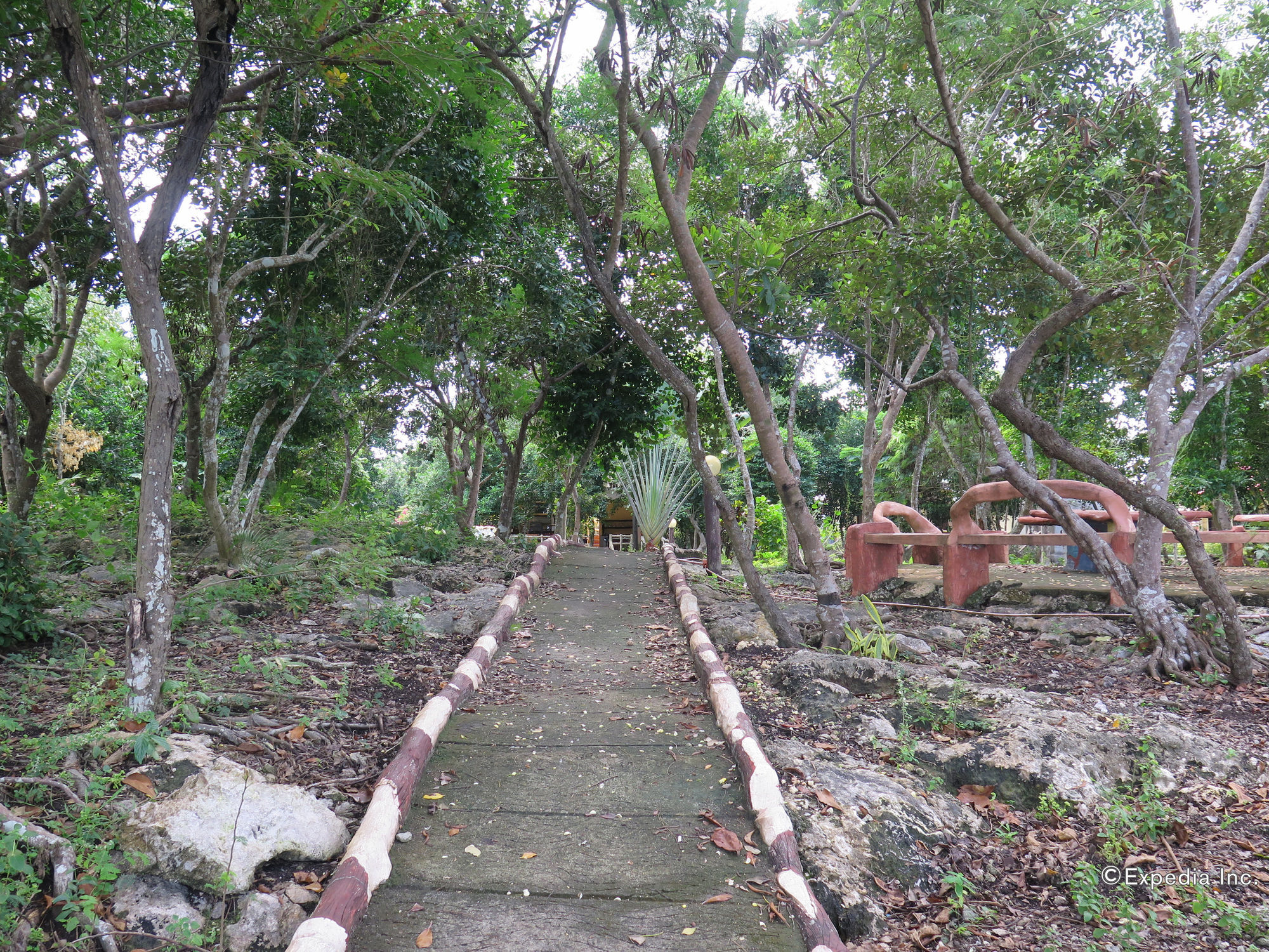 Alexis Cliff Dive Resort Panglao Zewnętrze zdjęcie